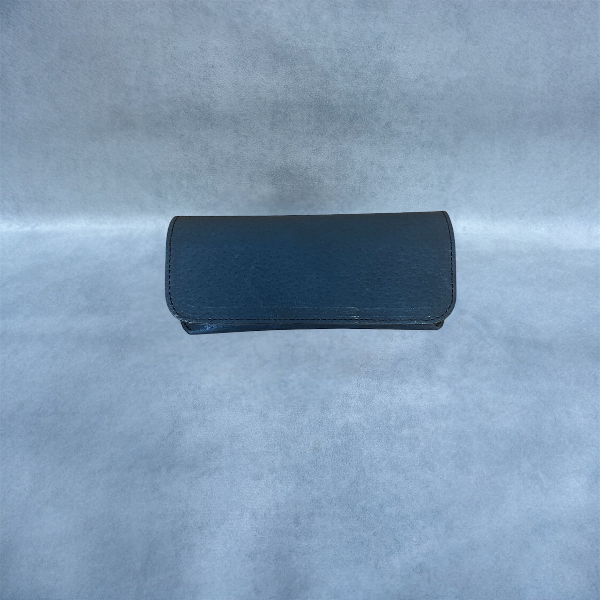 glasses case　メガネケース